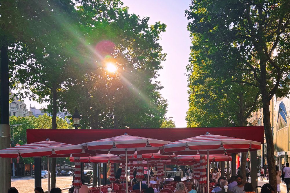 A Parisian café terrace under red umbrellas at dusk